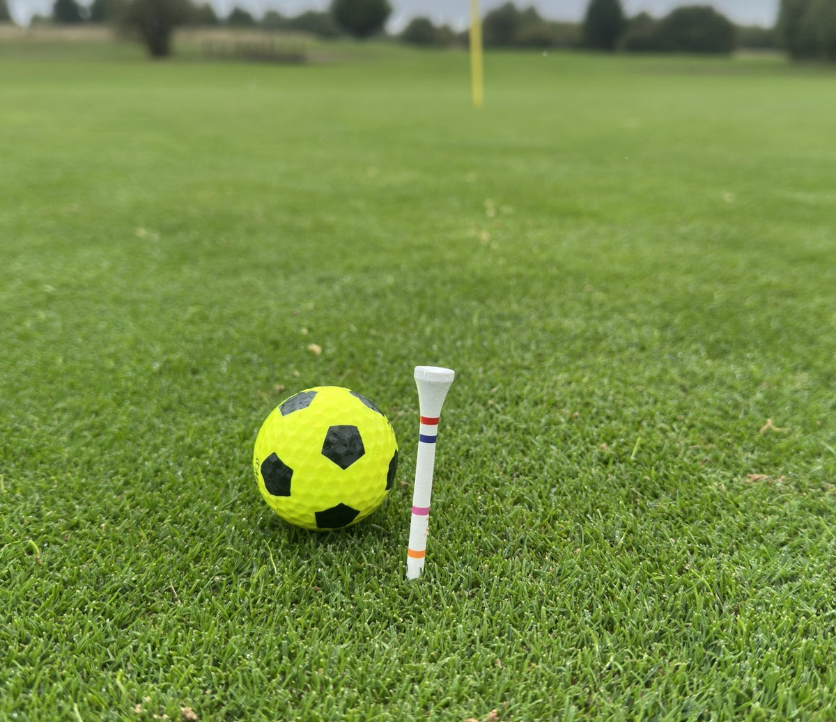 The Link-50 Pack - DM Golf