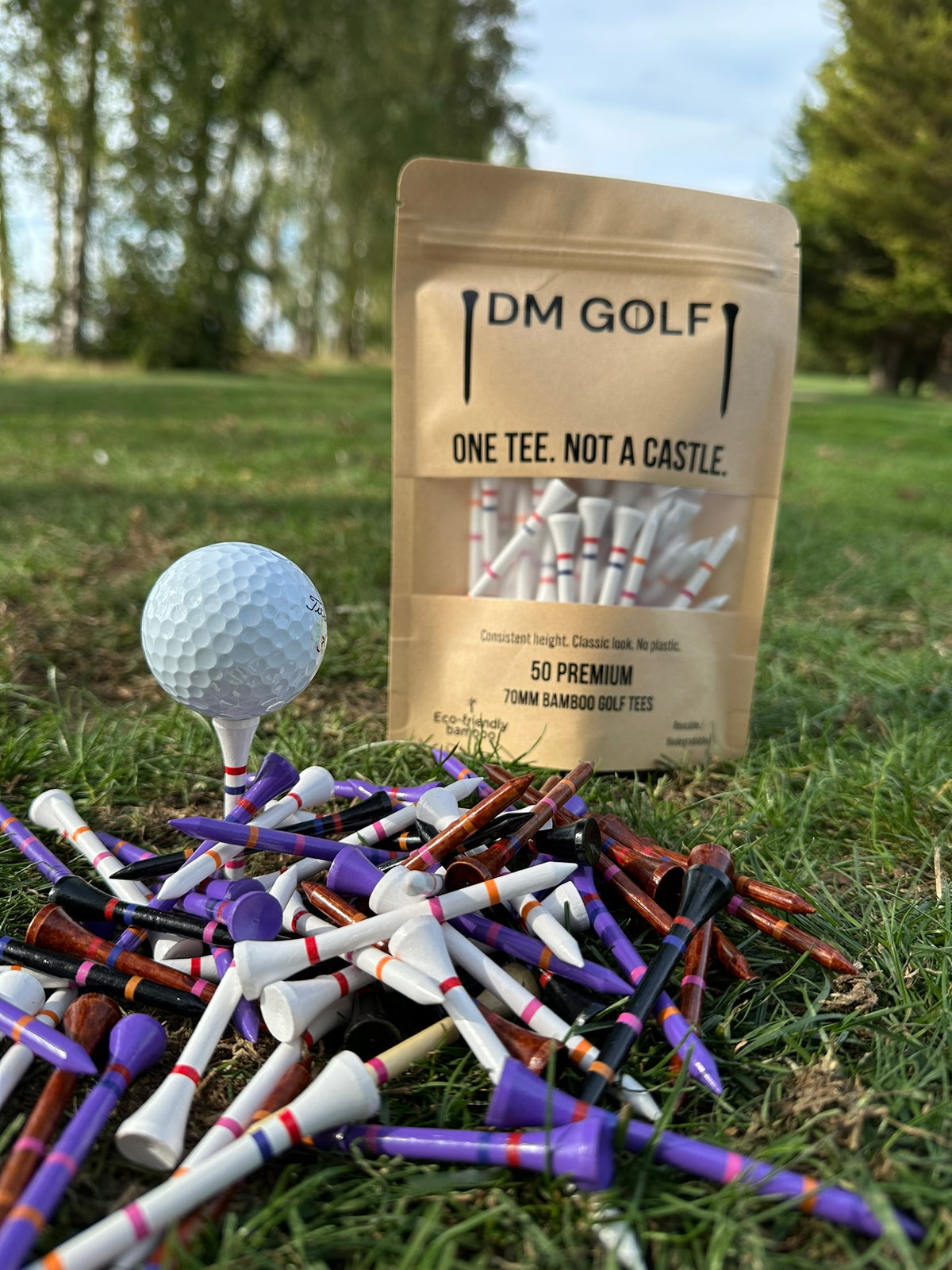 Never Run Out – 100 Tee Refill